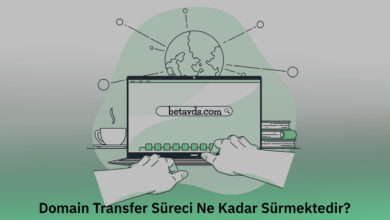 Domain Transfer Süreci
