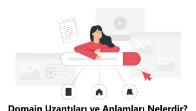 Domain Uzantıları ve Anlamları